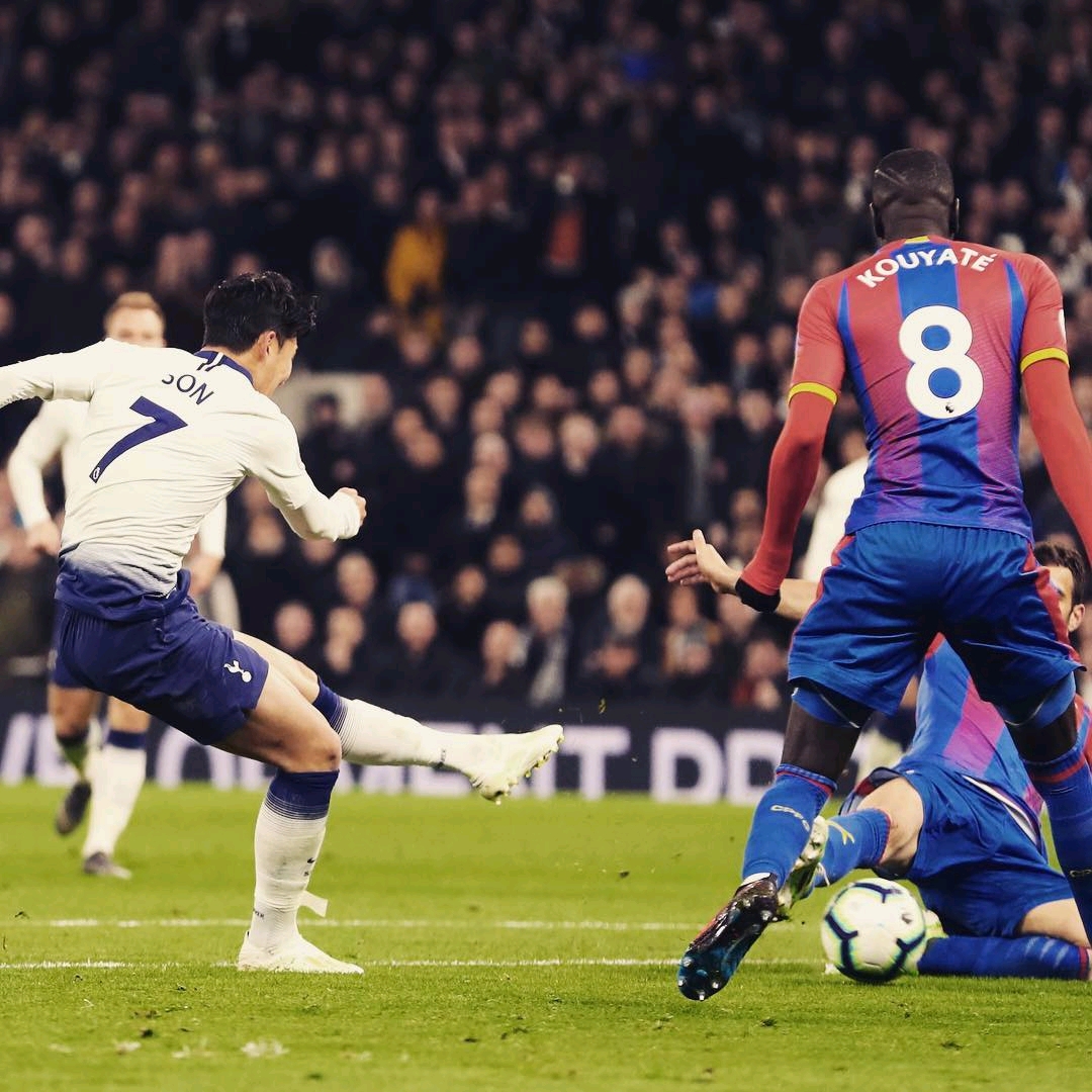 球员不仅能 球员不仅能